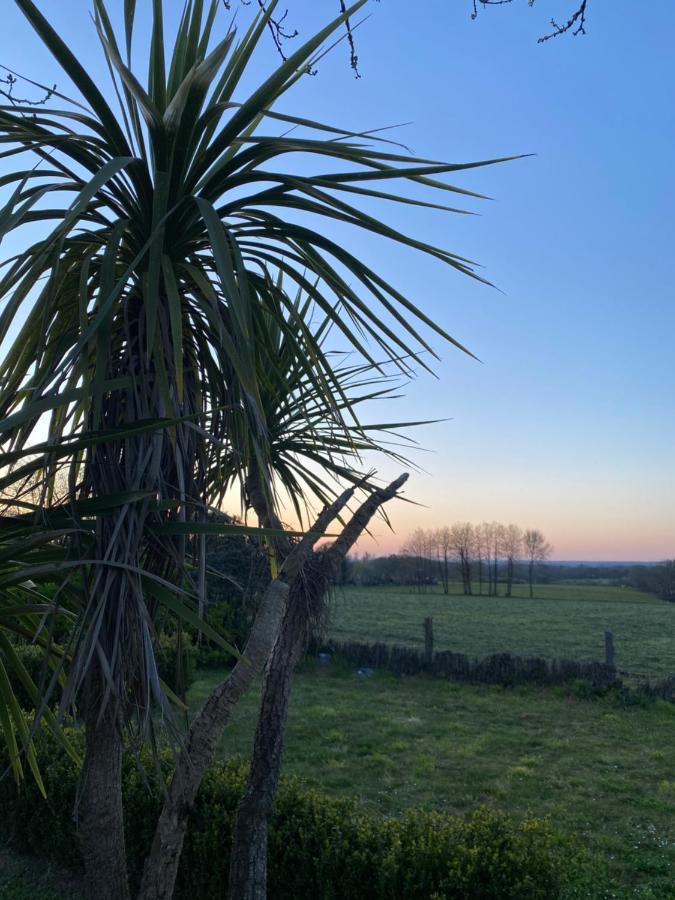 Maisonbel, Gite Convivial Bretagne Vannes Sarzeau 15 Personnes Surzur Εξωτερικό φωτογραφία